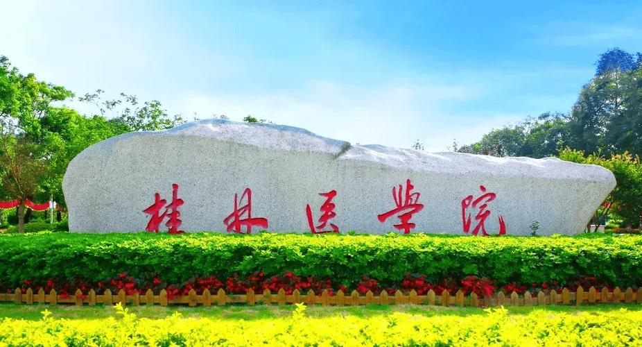 广西科技职业技术学院游戏截图