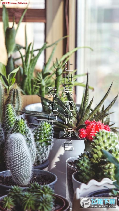 爱花草没有安卓版嘛?