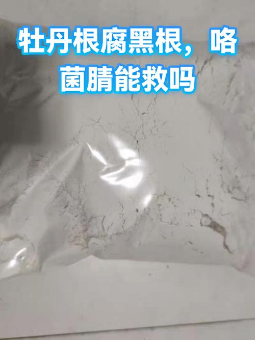 我的世界凋零瘟疫VS憎恶血肉真菌感染