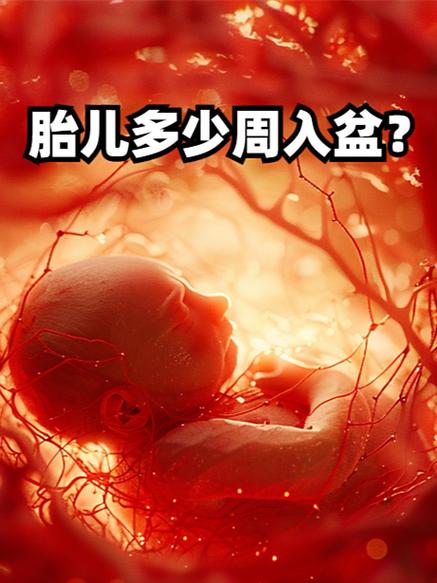 胎儿小几周就不能要了