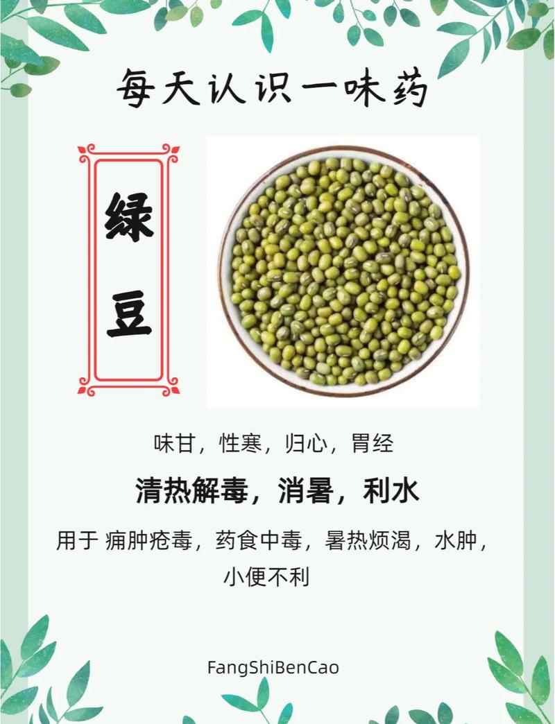 吃绿豆对肝脏的好处