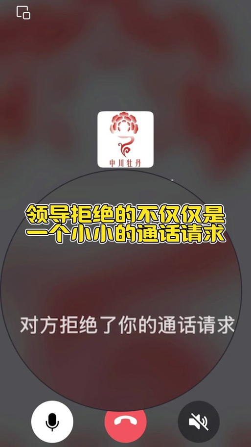 对方拒绝了你的语音通话请求