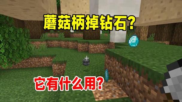 我的世界随机掉落物生存怎么弄