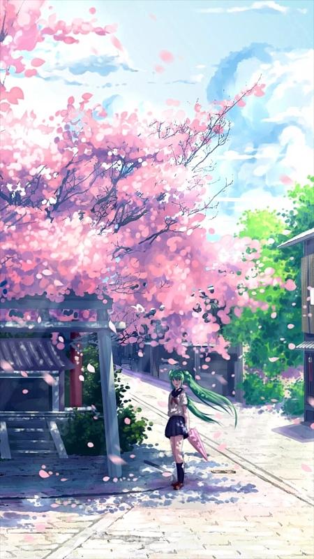 苹果手机能下樱花动漫嘛