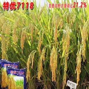 特优7118