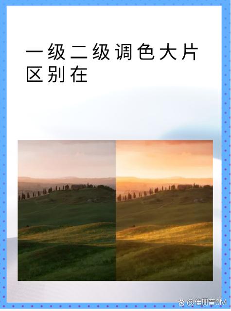荣耀手机变成黑白怎么恢复正常缩略图
