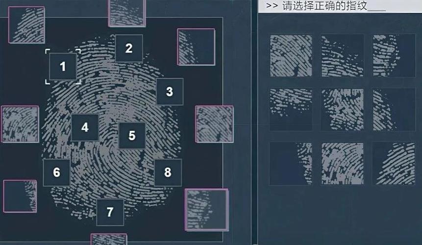 平板下载软件怎么用指纹