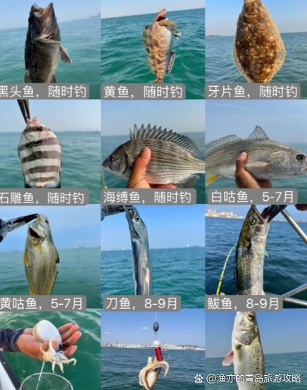 恶魔海螺要多少渔力