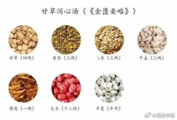 甘草泻心汤治腹泻腹胀满打嗝