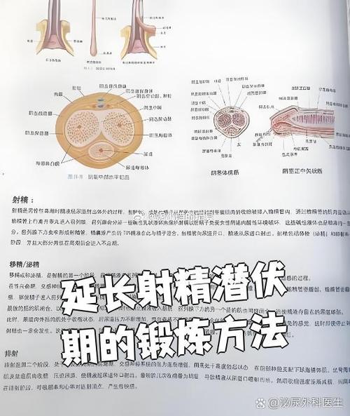 怎么能延长性功能