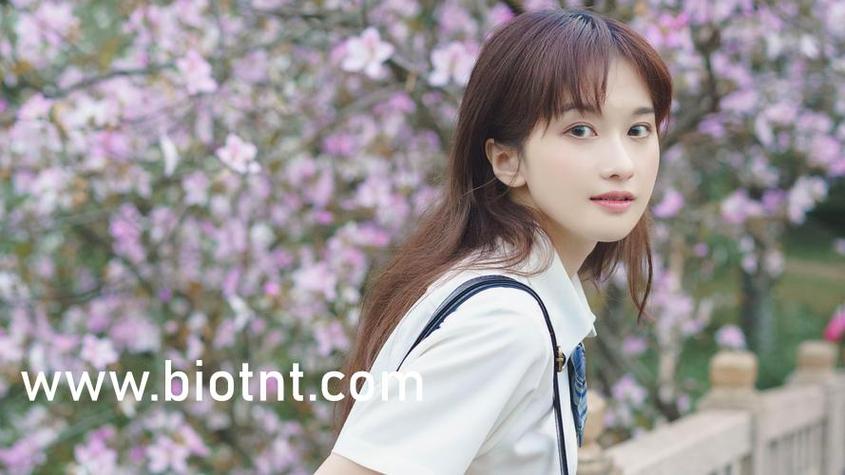 《追到她乖》作者:黑暗森林