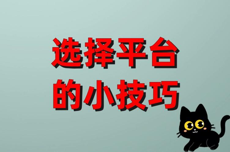 快手代发视频一单一结