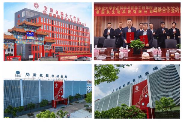 中国生产肽的十大公司