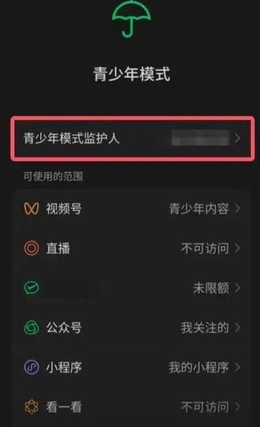 怎么解除手机未成年模式缩略图