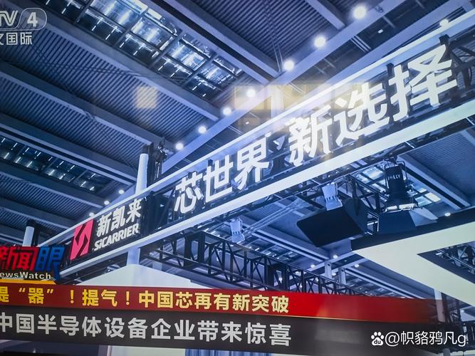 word文档鼠标滚轮不能上下翻页