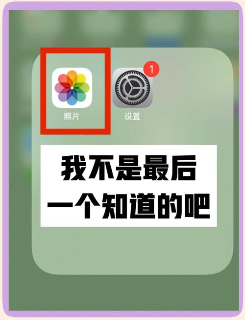苹果11怎么拍实况
