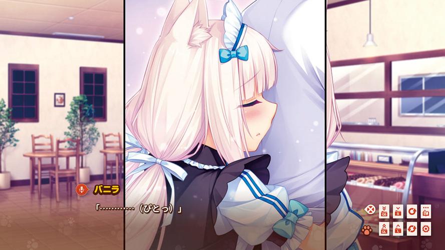 猫娘乐园r18补丁 dlc的版本