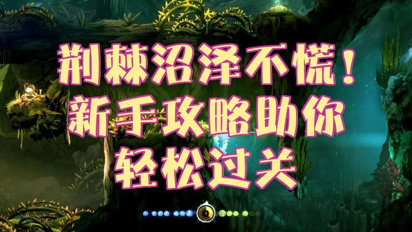 买终极版奥日1的注意事项