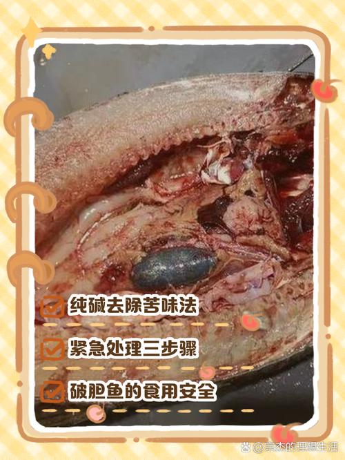 鱼胆破了鱼肉会不会苦