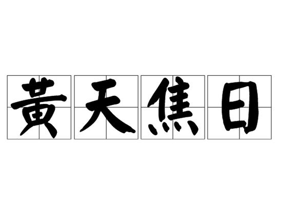 终为白日指令