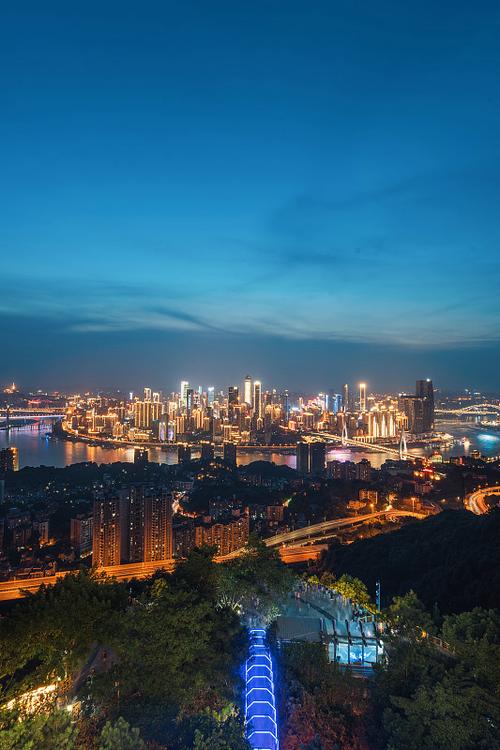 南山一棵树缩略图