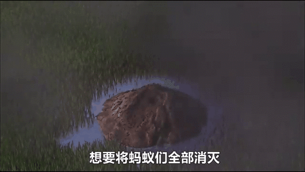 小男孩变得和蚂蚁一样大