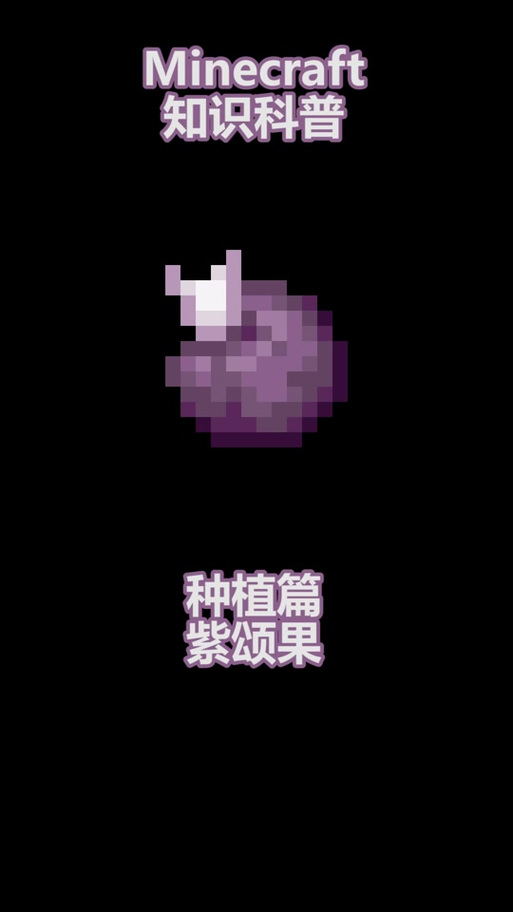 我的世界紫颂果生长判定