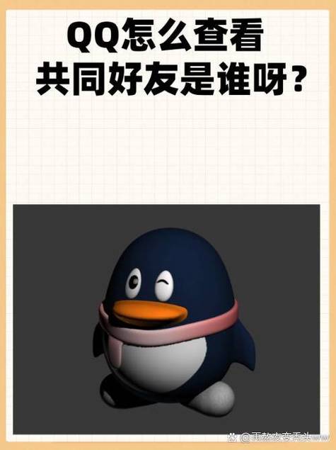 qq怎么让别人看不到共同好友