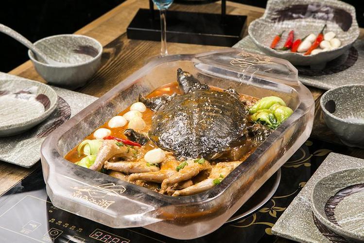 兔入江湖创始人