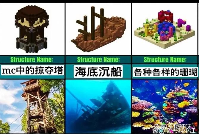 我的世界中珊瑚块可以干嘛