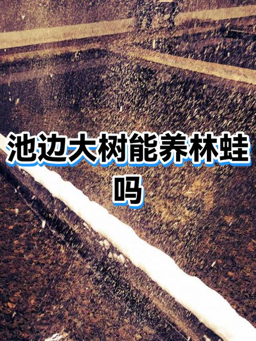 林蛙是养殖的吗缩略图