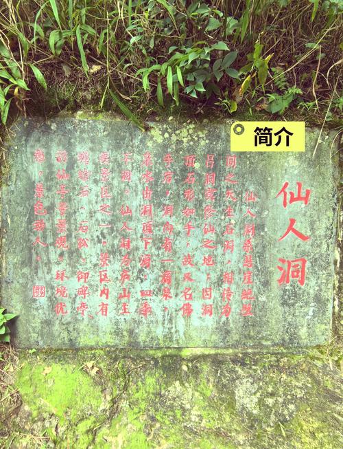 林凡山洞传承双修功法缩略图