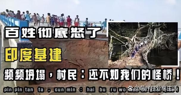 步数不产生能量了怎么办