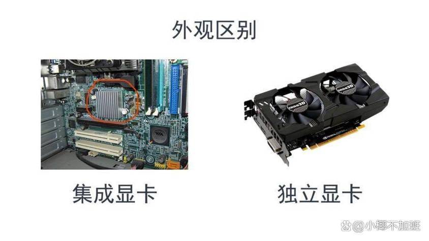 集成显卡和独立显卡哪个好