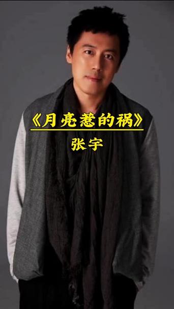 月亮惹的祸原唱张宇