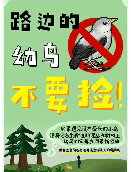 拯救小鸟缩略图