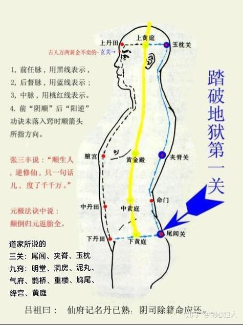 打窍最后一窍是打哪里