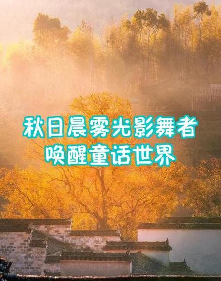 兜兜龙唤醒光影活动