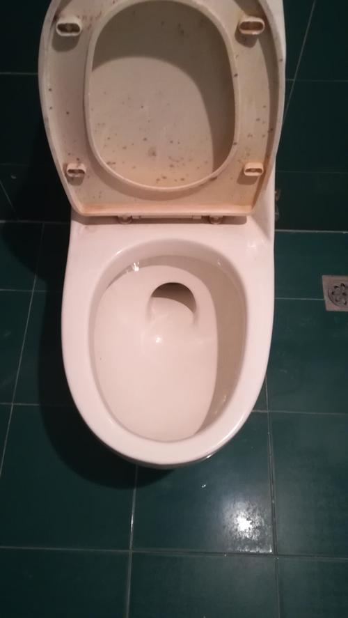 马桶mt没有了