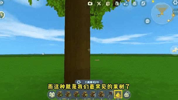 迷你世界树苗怎么获得新版