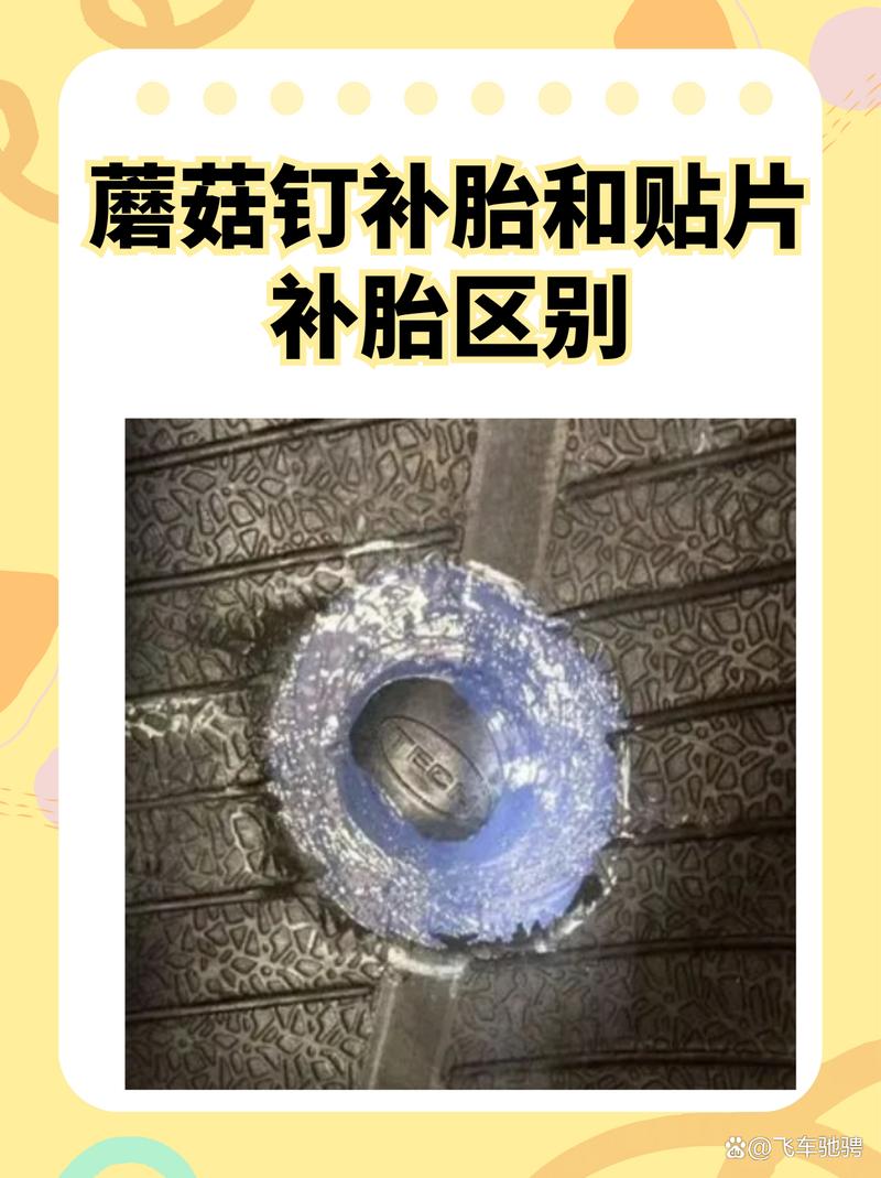 蘑菇丁为什么认证不了