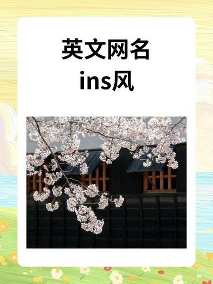 ins怎么读