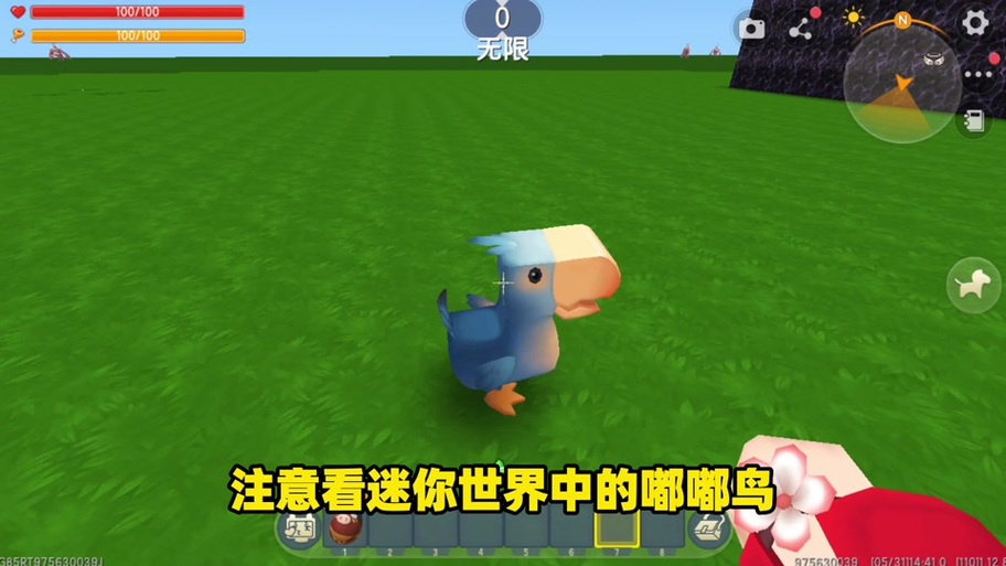迷你世界如何繁殖嘟嘟鸟