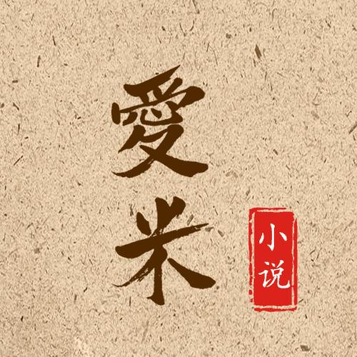 艾米小说免费阅读全文游戏截图