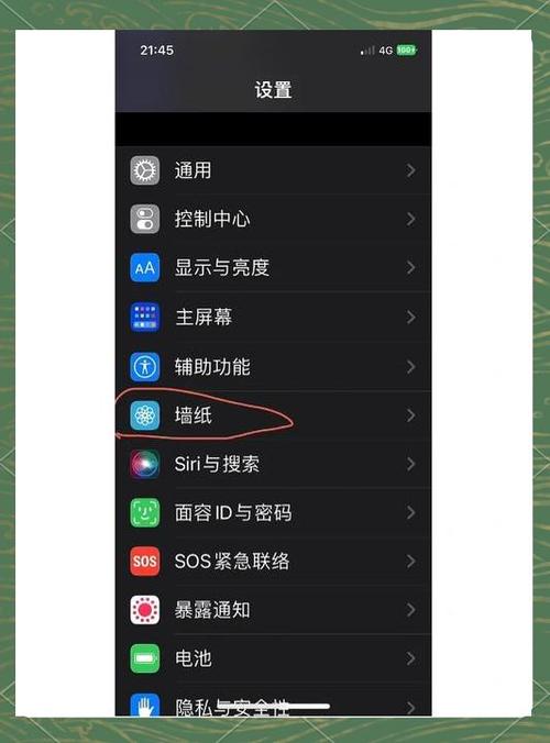 苹果手机如何设定双时间