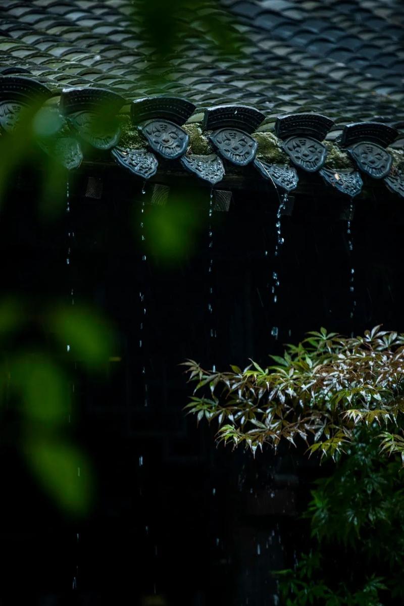 饥荒下雨有什么好处