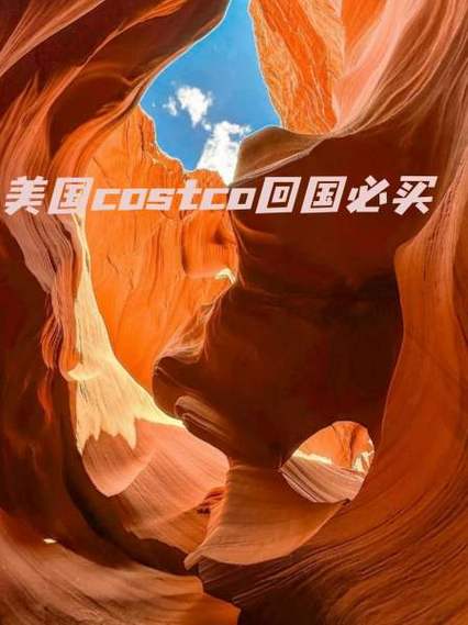 美国costco回国必买游戏截图