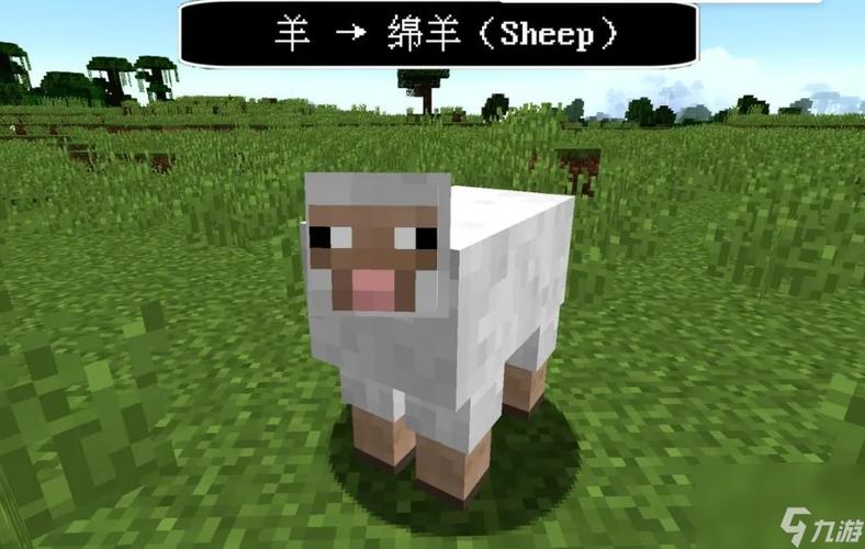 我的世界如何让动物繁殖