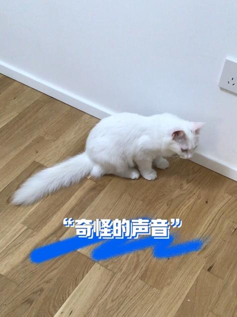 手机震动声音mp3