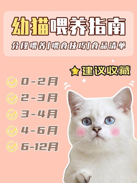一个月土猫幼猫吃什么